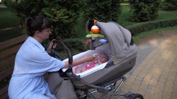 Babakocsiban Fekszik Egy Kisbaba Anya Mutat Egy Játékot Kamera Mozgásban — Stock videók