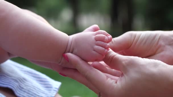 近くの女性の手を赤ん坊の足を撫で 母親と幼児の女の子の絆と自然の中で屋外で楽しみを持っています Slow — ストック動画