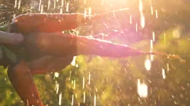 Beobachten Sie Wie Eine Erfahrene Bäuerin Einem Sonnendurchfluteten Garten Ihre lizenzfreies Stockvideo