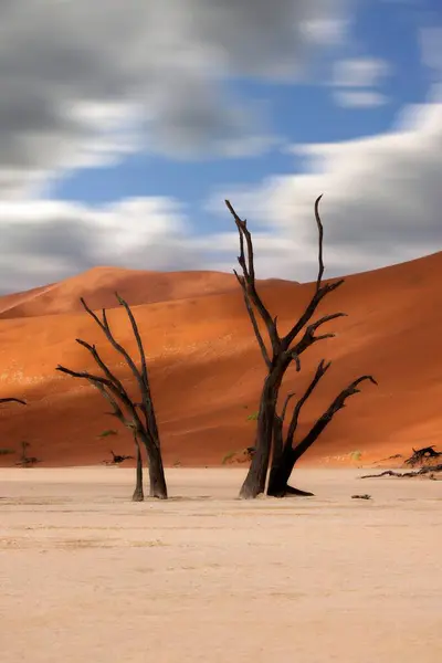 Halott Camelthorn Fák Piros Homokdűnék Kék Deadvlei Sossusvlei Ellen Namib — Stock Fotó
