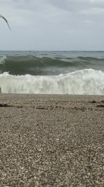 Akdeniz 'in videosu. Dalgalar bulutlu bir gökyüzüne karşı kumlu bir kıyıya çarpar.
