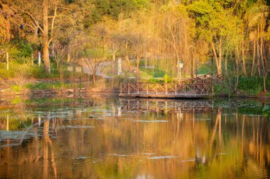 Brisbane Botanik Bahçeleri 'nin yanındaki Coot-tha Dağı' nda. 56 hektar, yerel ve egzotik bitki ve vahşi yaşam içeren astropikal botanik bahçeleri.