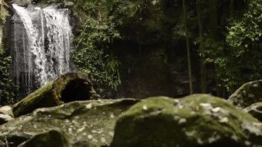 Curtis Falls, Avustralya 'nın Queensland şehrinde bulunan Tamborine Ulusal Parkı' nda bulunan bir şelaledir. Göz kamaştırıcı güzelliğiyle tanınır, çağlayan şelalesi yemyeşil yağmur ormanlarıyla çevrilidir..