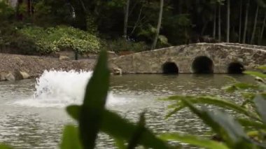 Tamborine Dağı Botanik Bahçeleri, Avustralya 'nın Queensland kentindeki Tamborine Ulusal Parkı' nda bulunan güzel bir botanik bahçesidir..