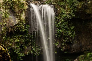 Curtis Falls, Avustralya 'nın Queensland kentindeki Tamborine Ulusal Parkı' nda yer alan popüler bir turistik merkezdir. Fevkalade şelalesiyle bazalt kayalıklarından kayalıklara dökülerek muhteşem bir kaya havuzuna dönüşmesiyle bilinir..