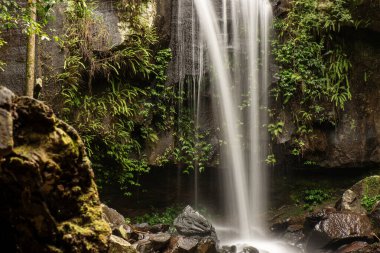 Curtis Falls, Avustralya 'nın Queensland kentindeki Tamborine Ulusal Parkı' nda yer alan popüler bir turistik merkezdir. Fevkalade şelalesiyle bazalt kayalıklarından kayalıklara dökülerek muhteşem bir kaya havuzuna dönüşmesiyle bilinir..