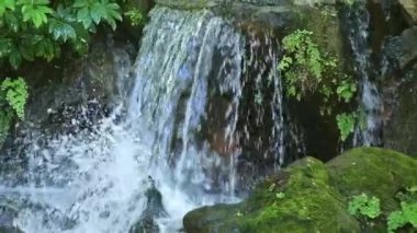 Brisbane, Queensland, Avustralya 'daki Coot-tha Dağı Botanik Bahçeleri' ndeki Japon bahçelerinde şelale özelliği.