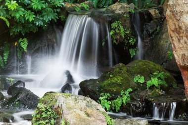 Brisbane Botanik Bahçeleri Coot-tha Dağı 'nda küçük bir şelale..