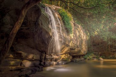 Serenity Falls is another name for Buderim Falls, a picturesque waterfall located in Buderim Forest Park on the Sunshine Coast in Queensland, Australia. clipart