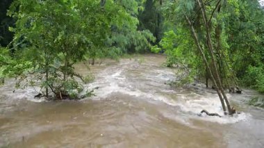 Alfred Kasırgası 'nın sebep olduğu Brisbane, Queensland, Chapel Hill' deki sel baskınları bölgesi..