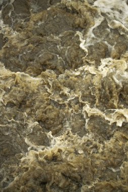 Kasırga Alfred 'in şiddetli yağmurundan sonra Brisbane, Queensland' deki sel suları.