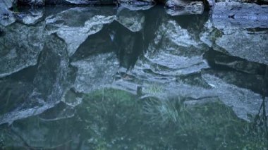 Batı Ithaca Deresi 'nde çağlayan bir şelale olan Simpson Şelalesi, Brisbane, Queensland, Avustralya' daki Coot-tha Dağı 'nın içinde yer alır..