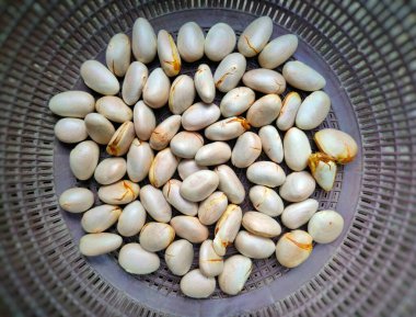 Pürüzsüz, beyaz ve açık kahverengi çizgileri olan taze toplanmış Jackfruit tohumları sepette sergileniyor. Mutfak, organik veya tarımsal temalar için yüksek çözünürlüklü yakın çekim ideal