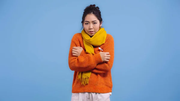 Больная азиатка в свитере и шарфе, измеряющая температуру с цифровым термометром, изолированным на голубом — стоковое фото