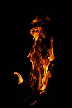 Siyah arka planda yangın alevleri. Siyah arkaplanda izole edilmiş alevlerin kapatılması