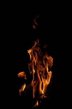 Siyah arka planda yangın alevleri. Siyah arkaplanda izole edilmiş alevlerin kapatılması