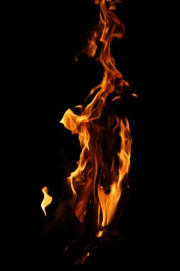 Siyah arka planda yangın alevleri. Siyah arkaplanda izole edilmiş alevlerin kapatılması