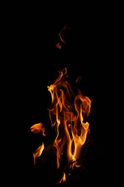 Siyah arka planda yangın alevleri. Siyah arkaplanda izole edilmiş alevlerin kapatılması