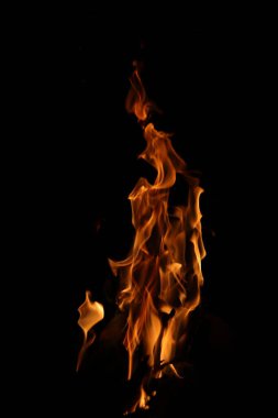 Siyah arka planda yangın alevleri. Siyah arkaplanda izole edilmiş alevlerin kapatılması