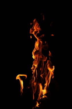 Siyah arka planda yangın alevleri. Siyah arkaplanda izole edilmiş alevlerin kapatılması