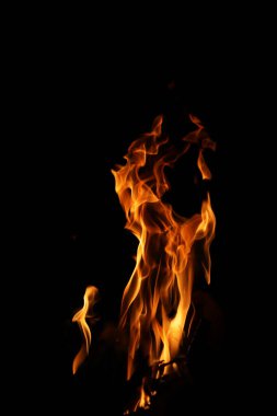 Siyah arka planda yangın alevleri. Siyah arkaplanda izole edilmiş alevlerin kapatılması