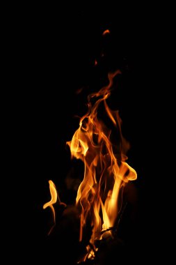 Siyah arka planda yangın alevleri. Siyah arkaplanda izole edilmiş alevlerin kapatılması