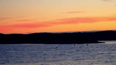 İki balıkçıl gün batımında deniz yüzeyinde uçar. Bir çift büyük deniz kuşu yiyecek arar ve zarafetle denizin üzerinde uçar. Akşamın büyüsü ve romantik atmosfer. Hayvan davranışları ve doğa harikaları..