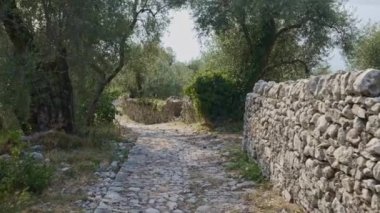 Kırsal bir patika boyunca ilerleyen bir çekim. Kırsal bölgedeki tepe yolu. Güneşli bir gün, zeytin ağaçları, parke zemin, toprak yol. Huzur, sessizlik, sessiz yürüyüş. 4k ağır çekim stok görüntüsü.