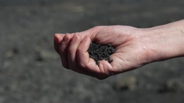El damlaları yanmış toprak. Siyah volkanik toprağı tutan kadın eli. İklim acil durumu, yangınlar ve kuraklık. Çevre ve hayvanlar tehlikede. Yoksulluk, acı ve kuru toprak. Yavaş çekim 4k.