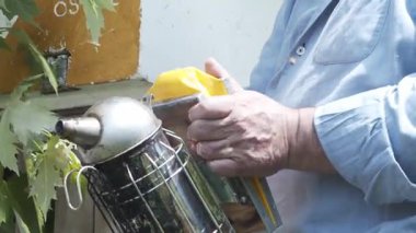 Yaşlı arı yetiştiricisi arı kovanı dumanı kullanıyor. Uzman arı yetiştiricisi bir kutuda arılara eşlik etmek için bir arı içicisi kullanır. Bir sürü çıkarılıyor. Eski gelenekler ve doğaya saygı.