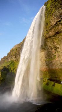 Seljalandsfoss şelalesi. Uzaktaki turistler güney İzlanda 'daki büyük şelaleye hayran. Gün batımı ışığı 65 metre yüksekliğindeki şelaleyi aydınlatıyor. 4K stok dikey video. 9: 16 Sinematik Görüntüler.
