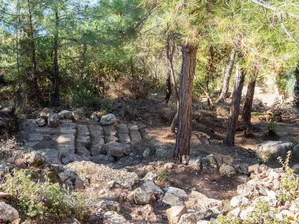 Ερπετά Πέτρινης Σκάλας Στην Αρχαία Πόλη Της Σύρδρας Που Βρίσκεται — Φωτογραφία Αρχείου