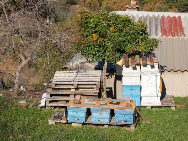 Alanya Τουρκία Ιανουαρίου 2023 Ξύλινα Μελίσσια Ένα Μελισσοκομείο Μια Ηλιόλουστη — Φωτογραφία Αρχείου