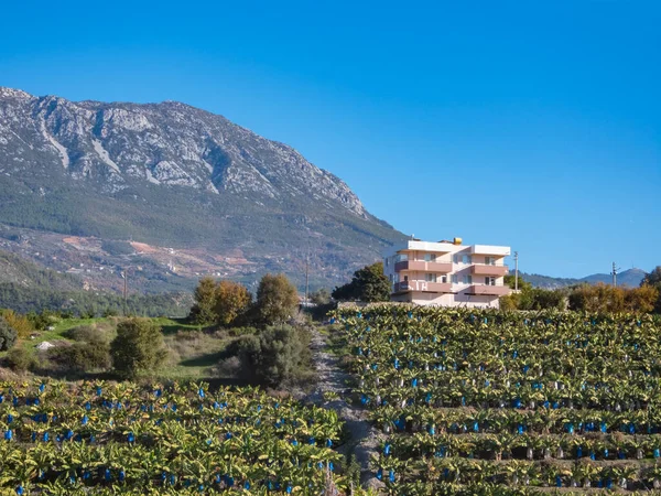 stock image Alanya, Turkey - Jan 4, 2023. Rural house perched on top of a hill surrounded by trees and banana plantations