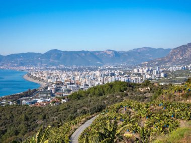 Alanya, Türkiye - 4 Ocak 2023. Güneşli bir günde şehir manzarası, arka planda dağlar ve ağaçlar olan bir yamaçtan panoramik deniz manzarası