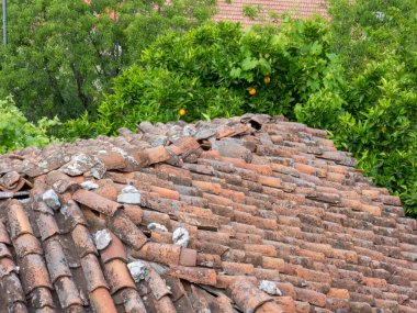 Portakal ağaçlarının arka planına karşı döşemeli eski bir kiremit parçası.