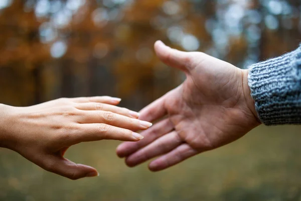 Unga Par Som Älskar Att Höstparken Och Hålla Händerna Nära — Stockfoto