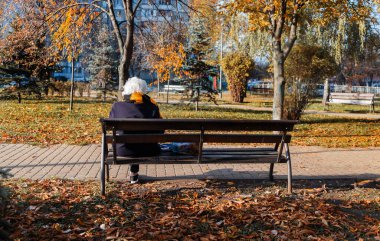 Depresyon ve üzgün yaşlı kadın sonbahar parkında bir bankta, arka köşede