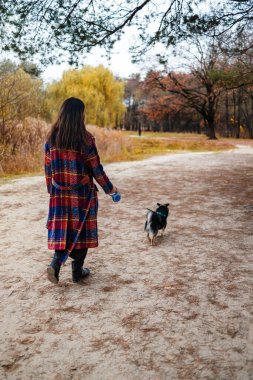 Köpeğiyle mutlu genç bir kadın. Ev hayvanları. Genç kadın parkta yürürken sevimli köpeğini tutuyor ve ona sarılıyor. Açık havada portre.