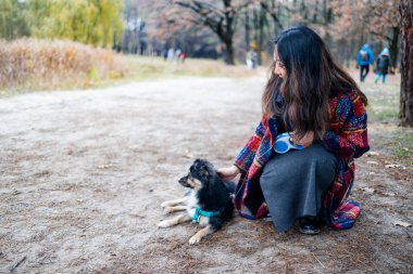 Köpek yavrusu sahibiyle orman parkında yürüyor..
