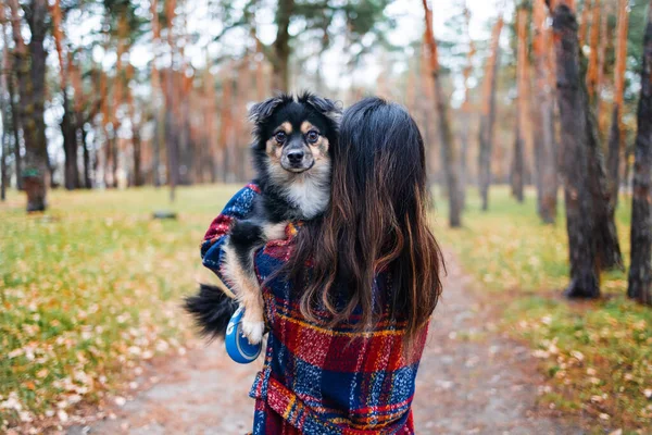 犬と一緒に幸せな若い女性 家のペット 公園を歩きながら可愛い子犬を抱っこしている若い女性 屋外肖像画 — ストック写真