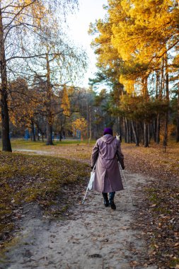 Elinde sopayla parkta yürüyen yaşlı bir kadın. Dışarıdan bakan yaşlı bir kadın. Yaşlı büyükanne ormanda yürüyordu. Rusya 'daki emeklilerin hayatı. Sonbaharda yaşlılık.