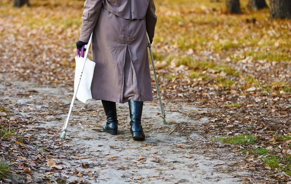An elderly woman with a stick walks in park. Back view aged woman outdoors. The old grandmother is walking in forest. Life of pensioners in Russia. Old age in autumn.