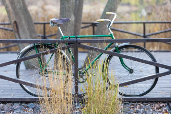 秋季公园桥上复古自行车的背景图 — 图库照片