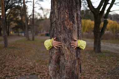 Sonbahar parkında ağaç kabuğuna sarılan kadın eller..
