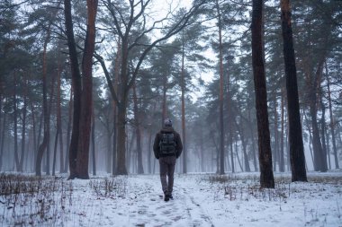 Sırt çantalı bir yürüyüşçü sisli ormanda kar altında yürüyor. Vahşi doğadaki maceraperest insanlar.