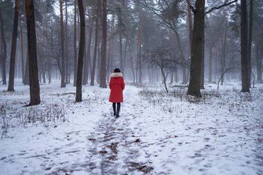 Kırmızılı genç kadın, karlı bir kış günü parkta, ağaçların arasındaki kaldırımda yavaşça yürüyor. Sisli hava. Doğada yalnız zaman geçirmek. Huzurlu bir atmosfer. Arka plan.