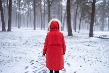 Kırmızılı genç kadın, karlı bir kış günü parkta, ağaçların arasındaki kaldırımda yavaşça yürüyor. Sisli hava. Doğada yalnız zaman geçirmek. Huzurlu bir atmosfer. Arka plan.