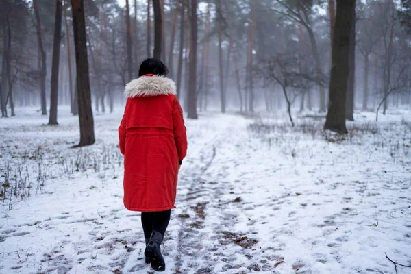 Kırmızılı genç kadın, karlı bir kış günü parkta, ağaçların arasındaki kaldırımda yavaşça yürüyor. Sisli hava. Doğada yalnız zaman geçirmek. Huzurlu bir atmosfer. Arka plan.