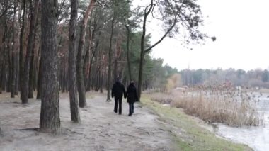 Parkta birlikte yürürken yaşlı bir çiftin el ele tutuşması. Romantik yaşlı çiftin kış ormanlarında dinlenip dinlenmesi..